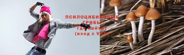 кокс Баксан