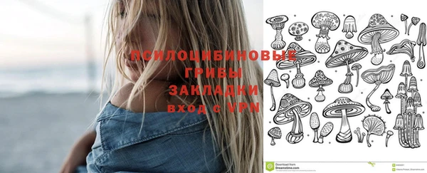 хмурый Балахна