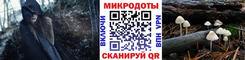 Купить закладки  Рыбинск  Псилоцибиновые грибы прущие грибы 